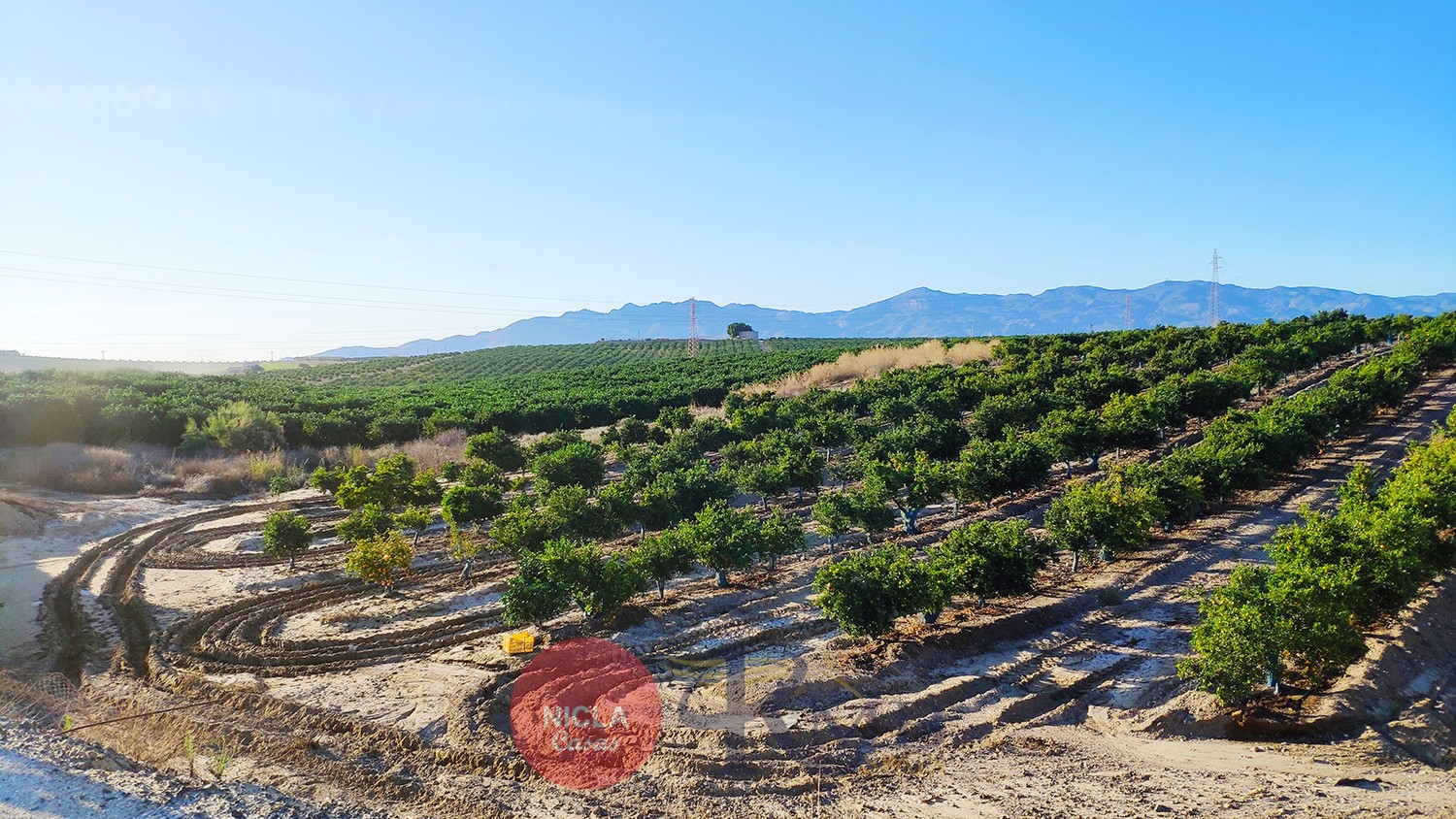  _ NICLA-RMB: Antas oranges