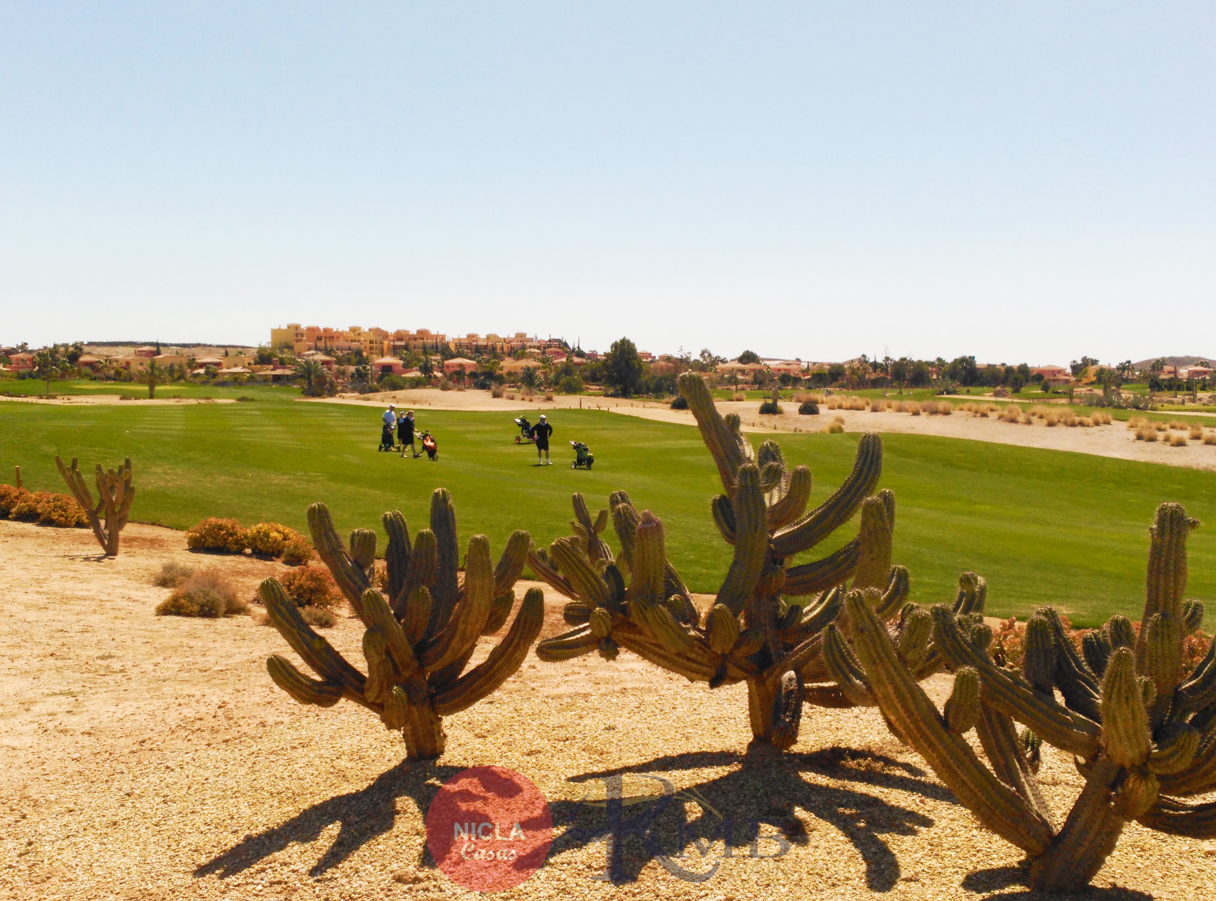  _ NICLA-RMB: Desert Springs Golf Resort.cactus