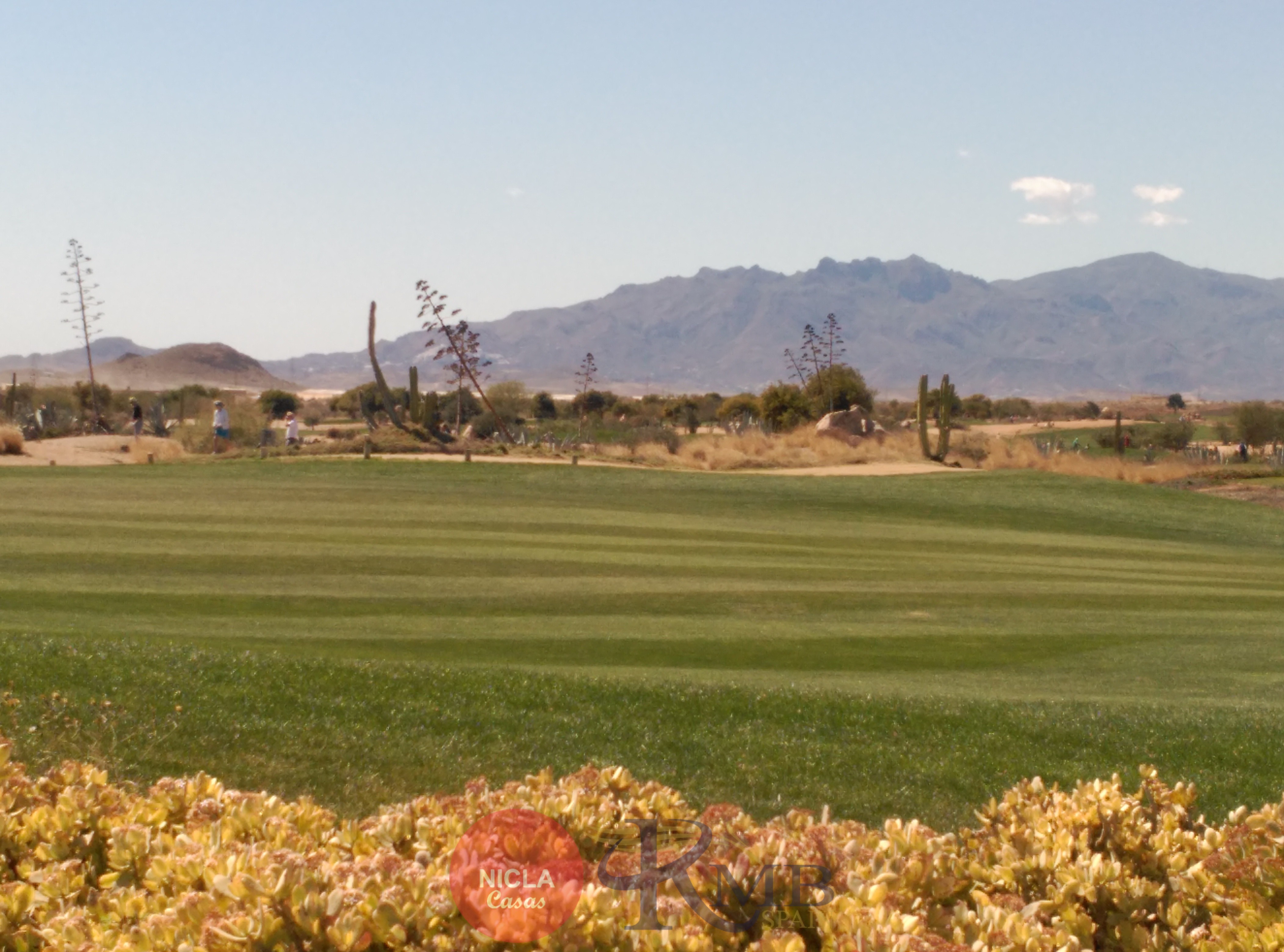 Desert Springs Golf Resort